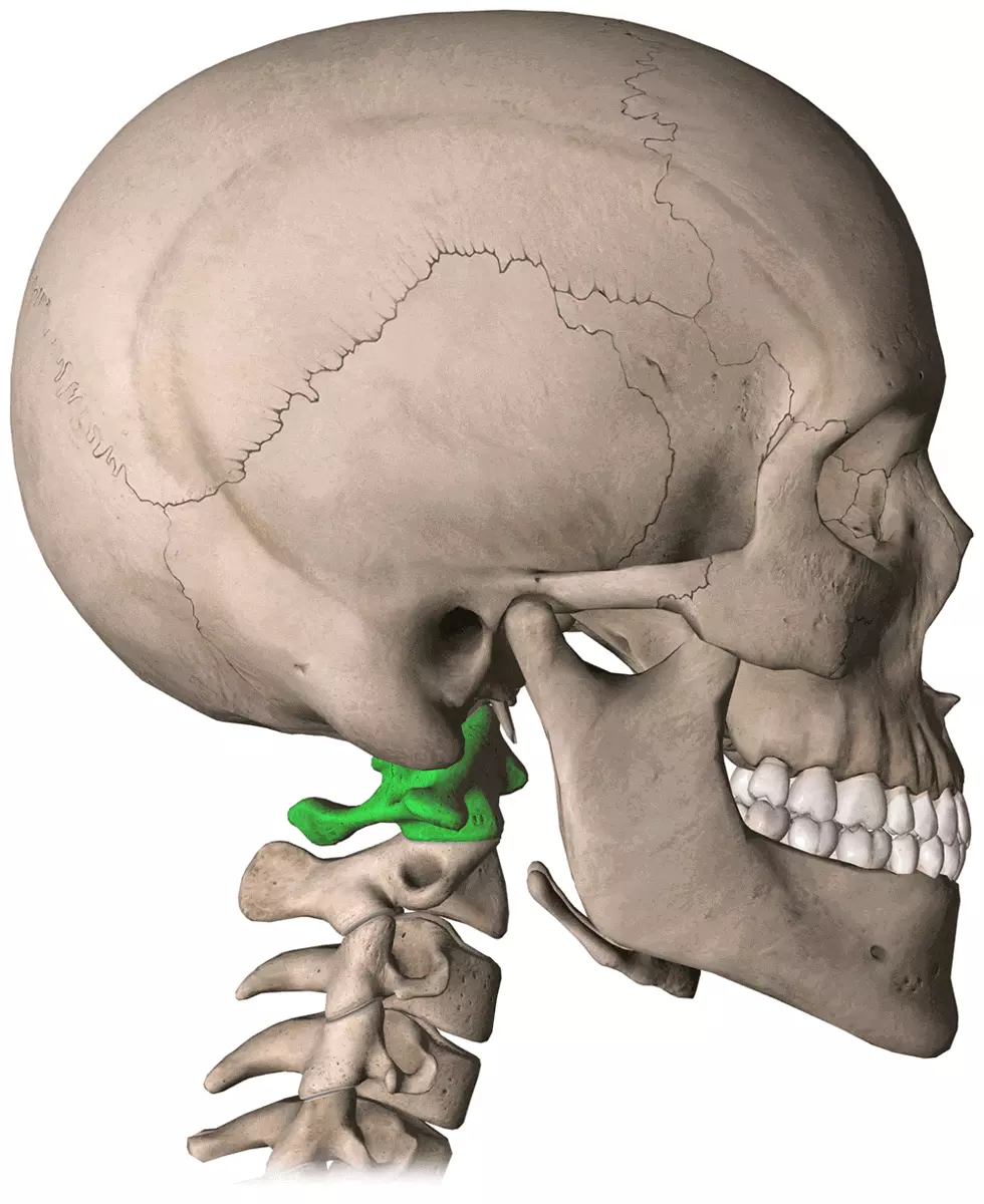 Rectificación de la columna cervical